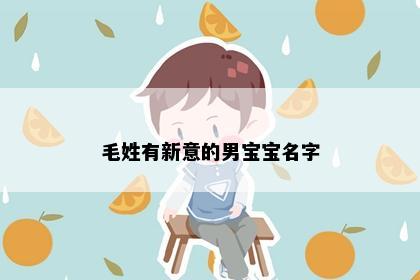 毛姓有新意的男宝宝名字